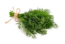 20x Dill | London Grocery