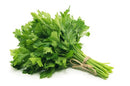 20x Parsley | London Grocery