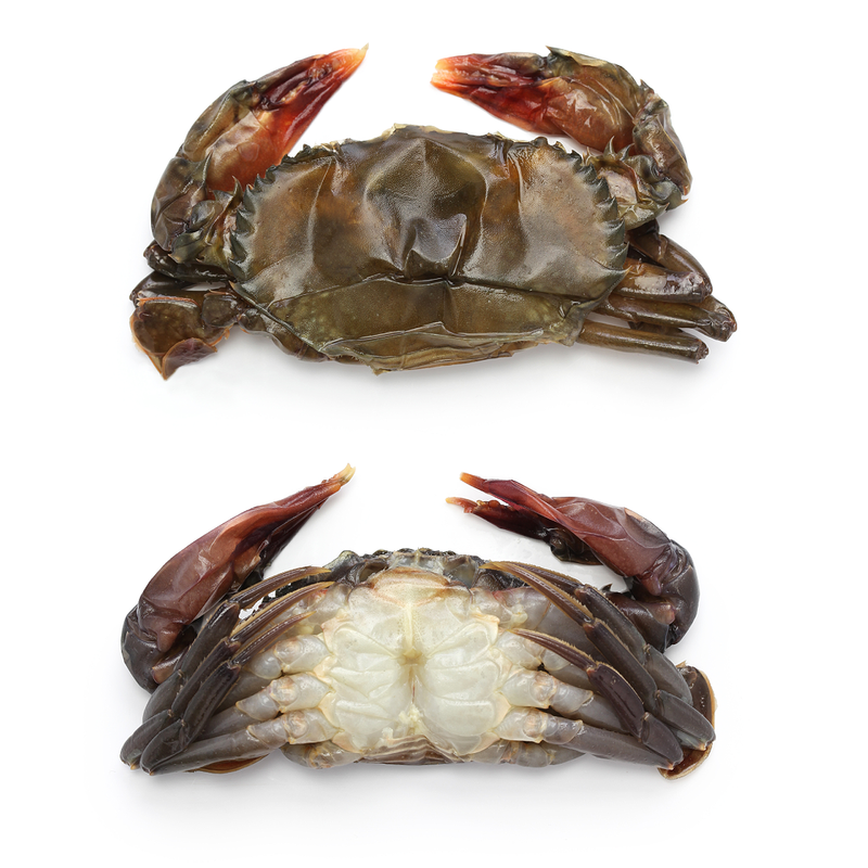 Frozen Soft Shell Crabs Hotel 1kg x 4 Packs | London Grocery