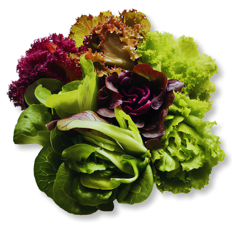 Vahaa Seedpod Kit - Vahaa Salad Mix | London Grocery