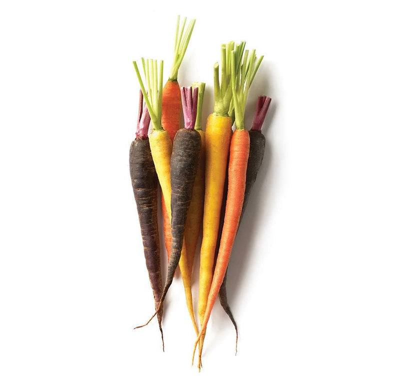 Fresh Baby Rainbow Carrots 6 Units-London Grocery