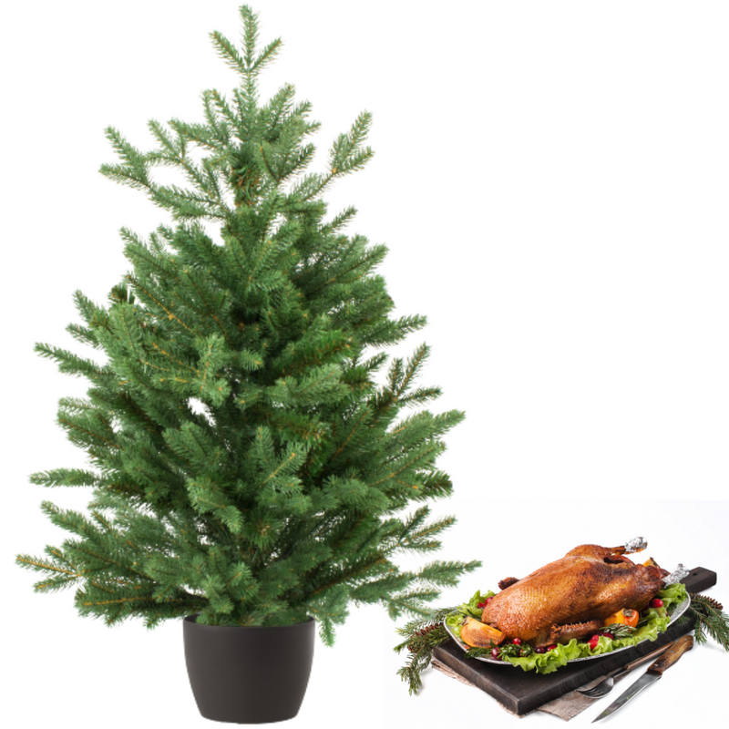 Real and Live Christmas Tree 5/6 ft with Whole British Goose Hamper Gift Box-London Grocery