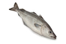 Coley 1 kg - London Grocery