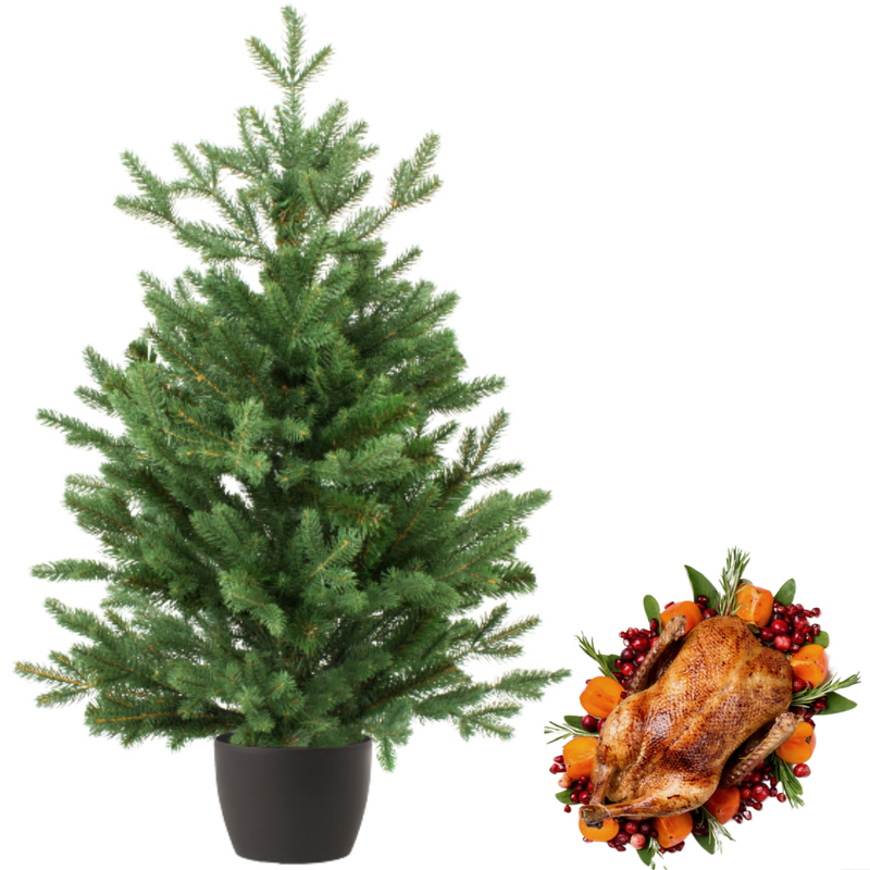 Real and Live Christmas Tree 6/7 ft with Whole Duck Hamper Gift Box-London Grocery