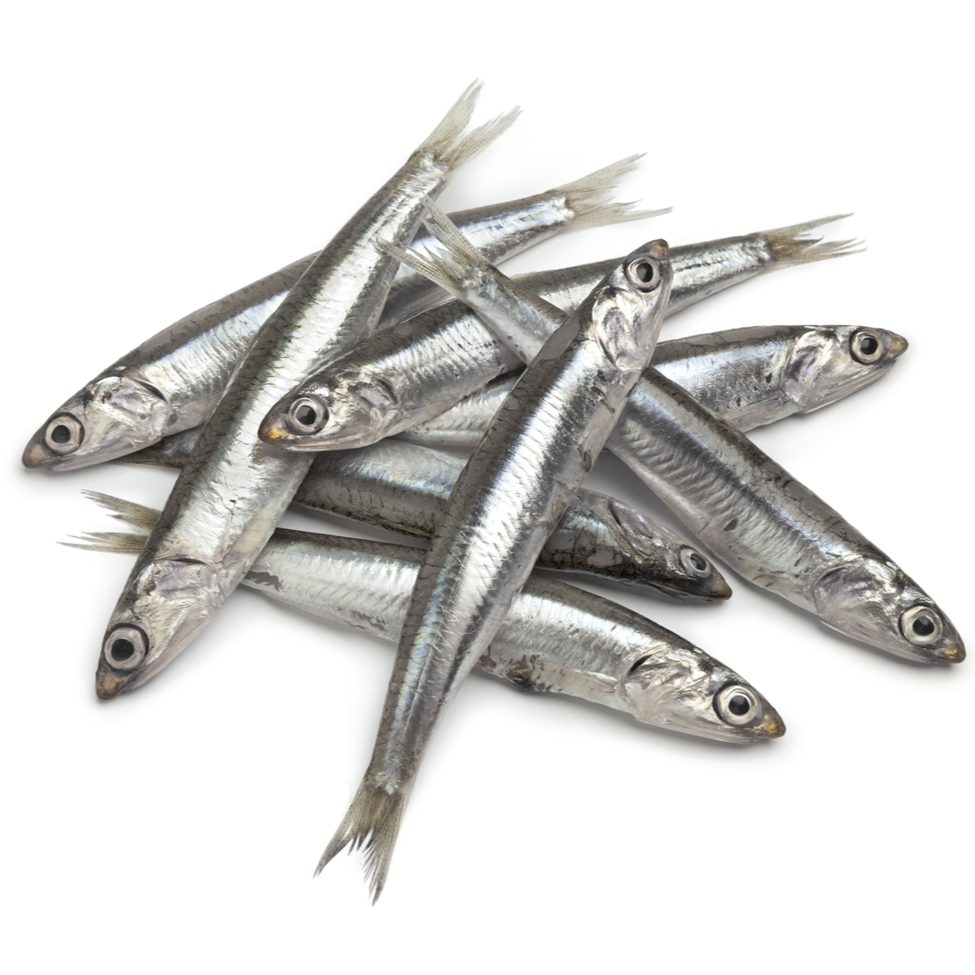 Fresh Anchovies London Grocery