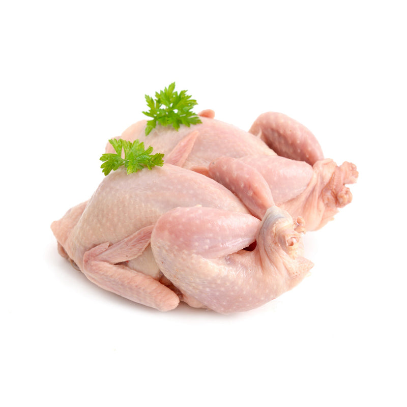 Grouse 400g x 40 Units | London Grocery