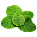 Keerai - London Grocery