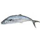 Whole King Fish 1 kg - London Grocery