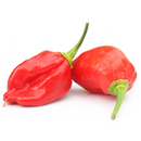 Naga Chilli - with London Grocery
