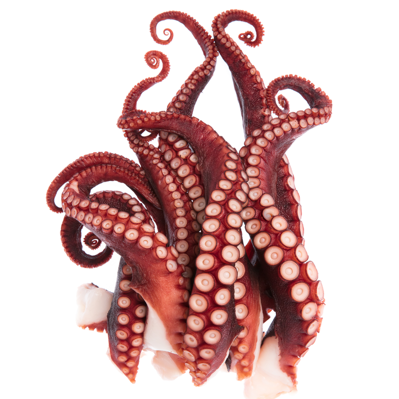 Fresh Octopus Tentacles 250 gr - London Grocery