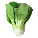 Paksoy / Pak Choi - London Grocery