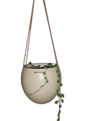Ostrich Egg Pot Plant Hanger| London Grocery