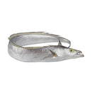 Ribbon Fish Box 200kg | London Grocery
