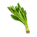 Thai Parsley - London Grocery