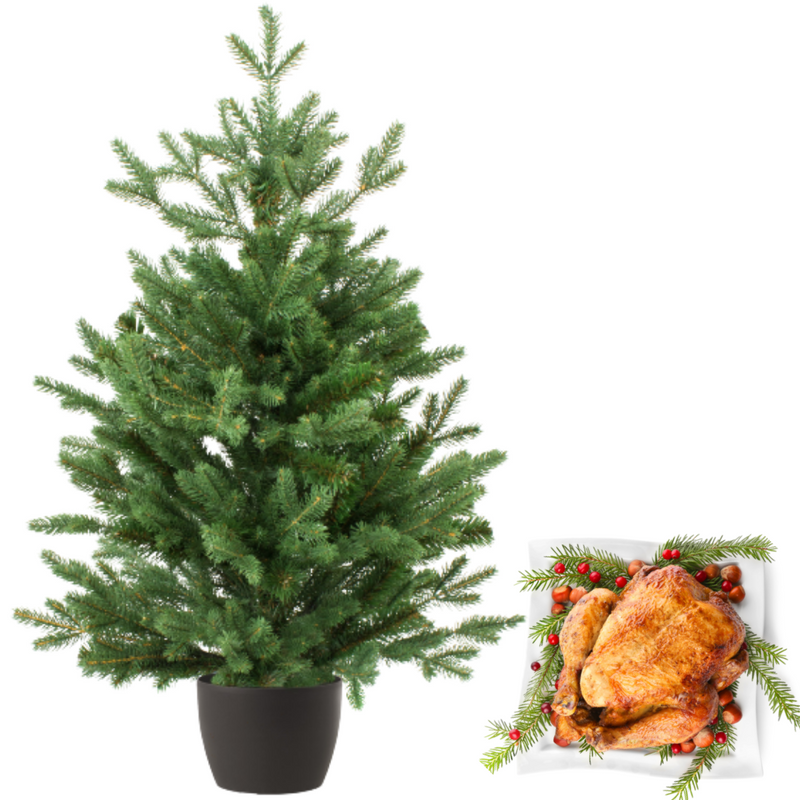 Real and Live Christmas Tree 2/3 ft with Whole British Turkey Hamper Gift Box-London Grocery