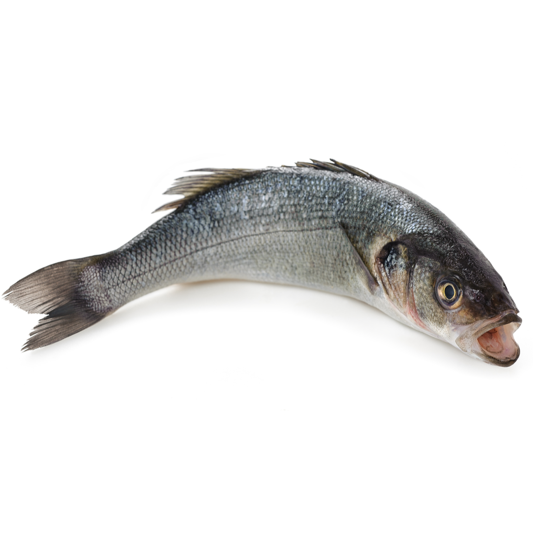 Fresh Whole Seabass Fish | 1 Unit ~1kg