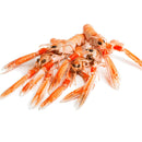 Frozen Whole Scampi (Langoustines) 1 kg - London Grocery