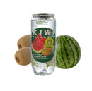 24x Dpm Fresh Watermelon Kiiwi Sparkling Drink | London Grocery