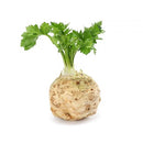 Celeriac (Bag) 10kg | London Grocery