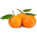 Satsuma / Nadorcotts /Mandarin 10kg | London Grocery