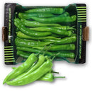 Sivri Pepper 3kg | London Grocery