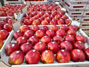 Polish Apple 8kg | London Grocery