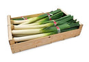Leeks 5kg | London Grocery
