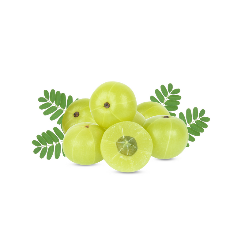 Amla / Gooseberry -5kg- (INDIA) | London Grocery