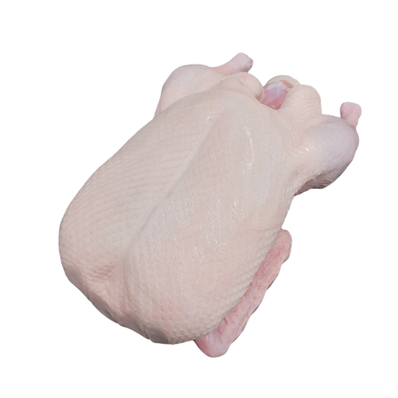 Freshly Frozen Whole British Duck | 2~2.5 kg | London Grocery