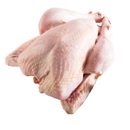 Freshly Frozen Whole British Turkey | 2.5~3.5 kg | London Grocery