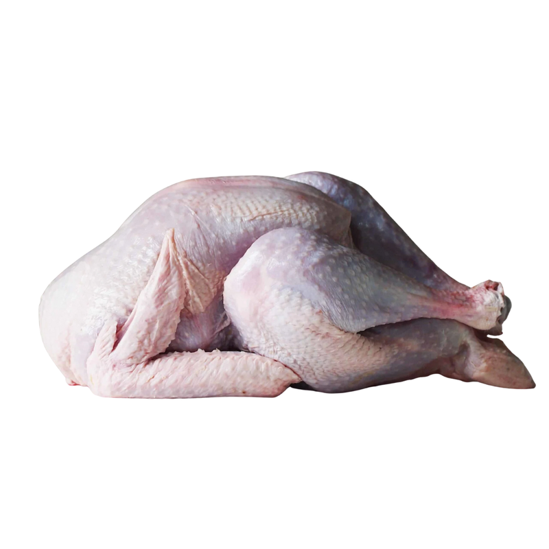 Freshly Frozen Halal Whole Turkey | 2.5~3.5 kg | London Grocery
