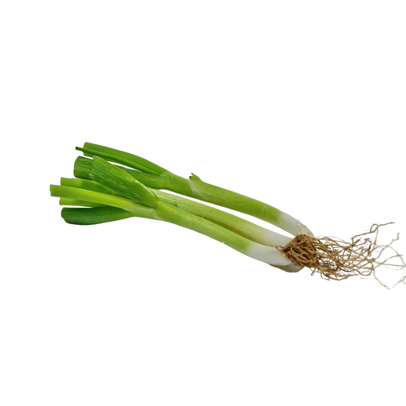 6x Baby Leek 200g | London Grocery