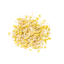 Beans Sprout 4kg | London Grocery