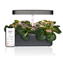 Vahaa Smart Garden - Black + Starter Seedpod Kit  | London Grocery