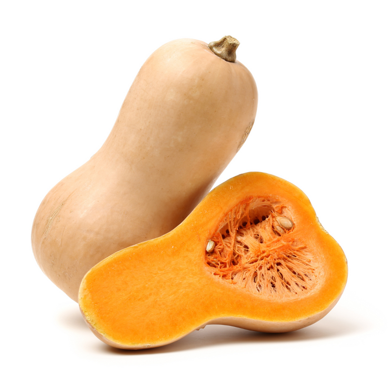 Butternut Squash - Size 8 | London Grocery