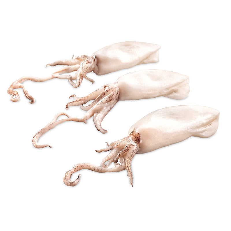 Frozen Whole Cleaned Baby Squid 20-40 (1kg x 10 Packs) | London Grocery