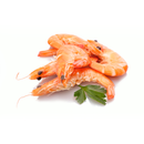 Frozen Cooked Crevettes 1kg x 10 Packs (10-20 per kg) | London Grocery