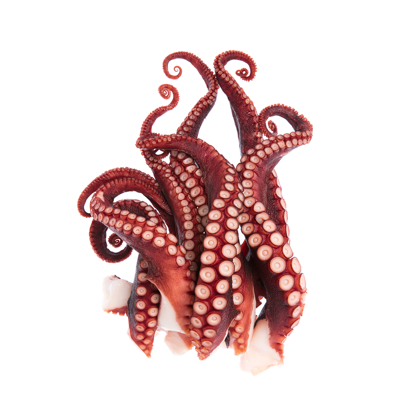 Vac Pac Frozen Cooked Octopus Tentacles 350g x 15 Pack | London Grocery