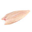 Frozen Dutch Dover Sole 10kg | London Grocery