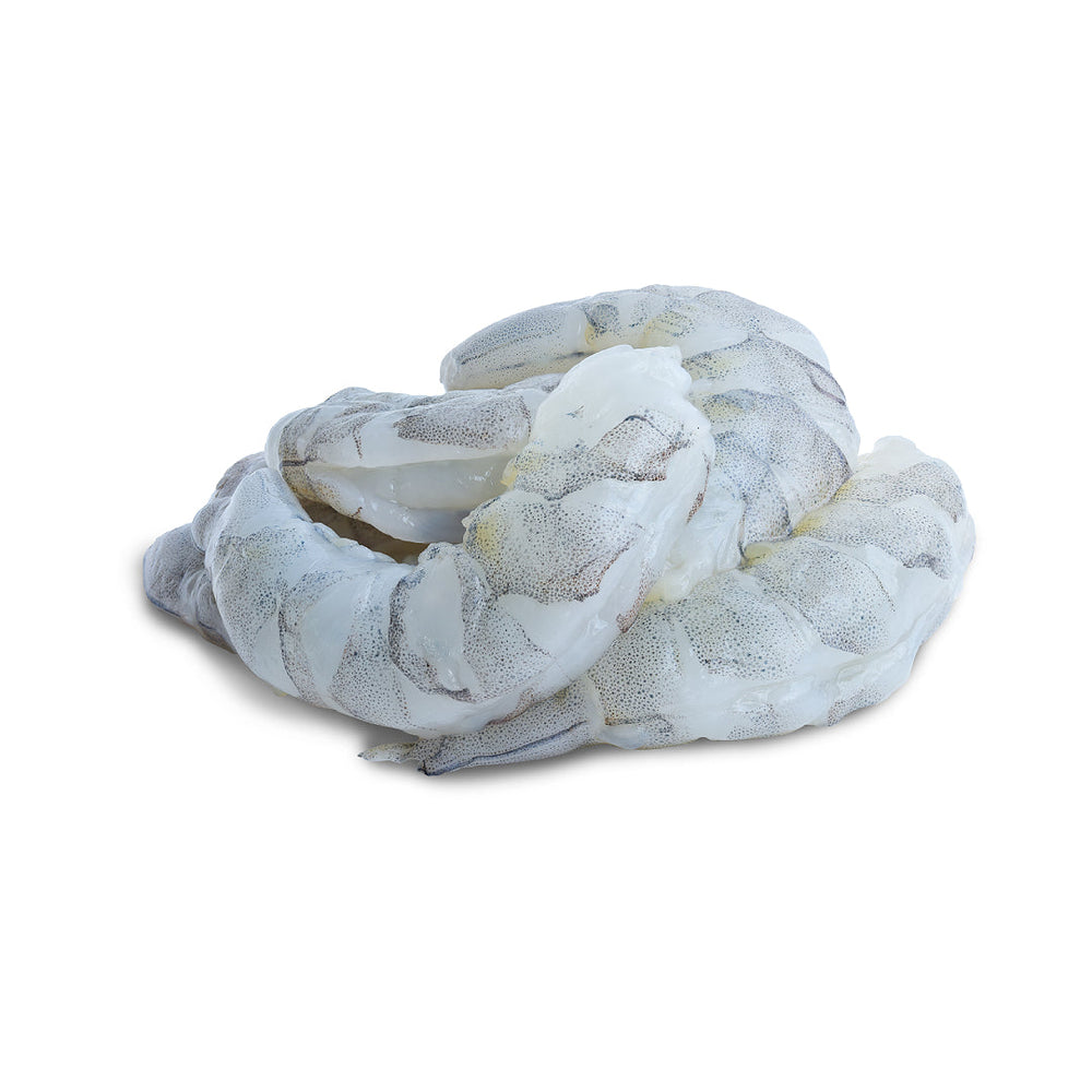 Frozen White Jumbo Shrimps