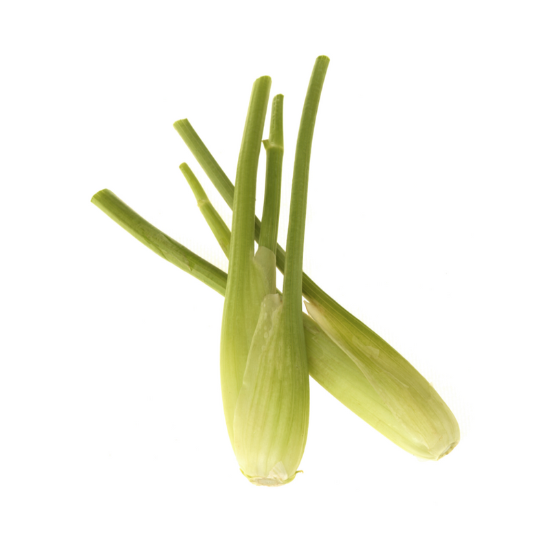 6x Baby Fennel 200g | London Grocery