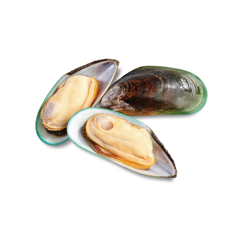 Frozen Half Shell Green Lipped Mussels (Medium) 800g x 12 Packs | London Grocery