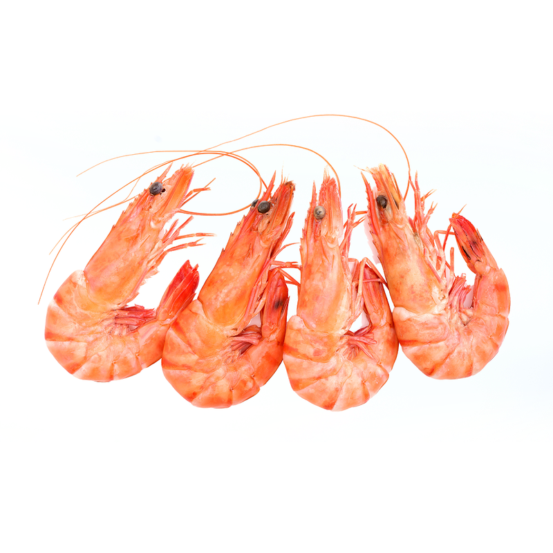 Cooked Shell On Frozen Cold Water Prawns (90-120 Prawns) 5kg | London Grocery