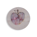 Frozen Kingfish Steaks 1kg x 5 Packs | London Grocery