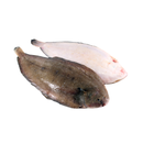 Frozen Skin-On Lemon Sole Fillets 6-8oz (4.54kg) | London Grocery