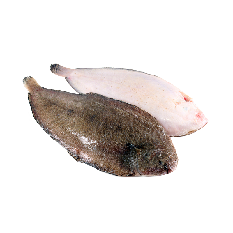 Frozen Skin-On Lemon Sole Fillets 8-10oz (4.54kg) | London Grocery