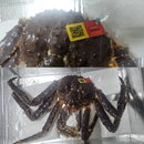 Live King Crab 5kg - London Grocery