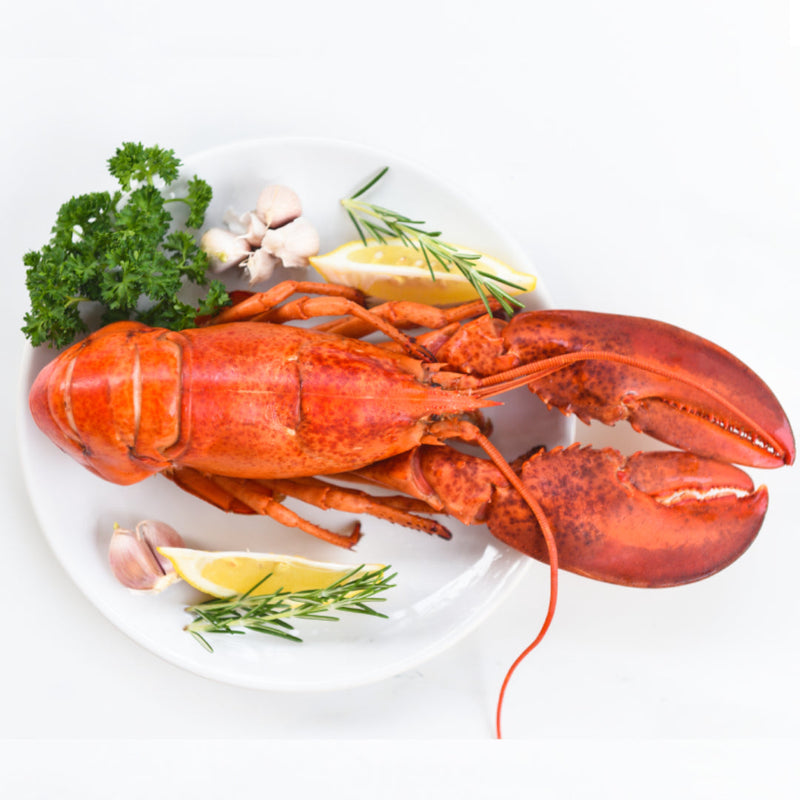 Frozen Whole Cooked Lobsters in Brine 350g x 10 Packs | London Grocery