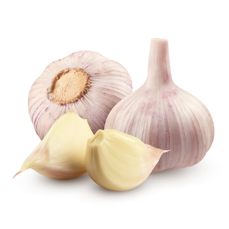 Garlic Loose 7kg | London Grocery