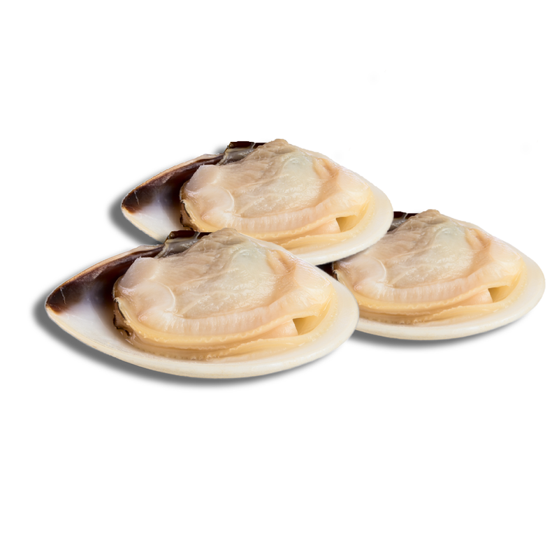 Frozen & Vac-Pac Cooked Meretrix Half Shell Clams 1kg x 10 Packs | London Grocery